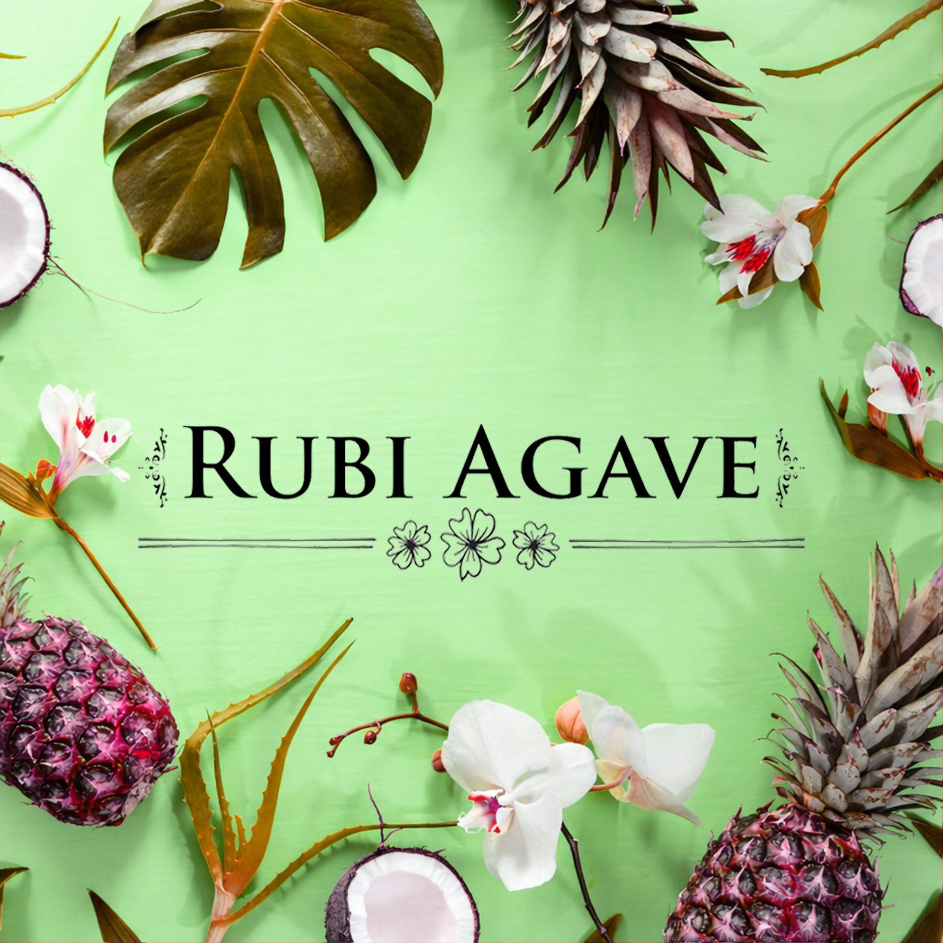 How Rubi Agave Was Born